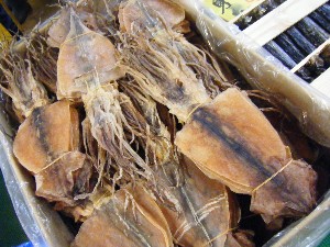 2008/11/29 �{���̔����ł�_47