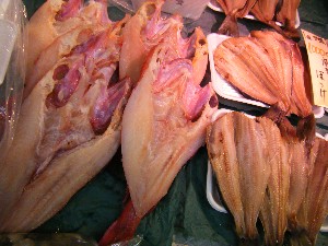 2008/11/29 �{���̔����ł�_48