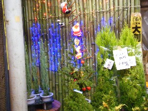 2008/11/29 �{���̔����ł�_55