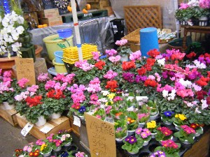 2008/11/29 �{���̔����ł�_56