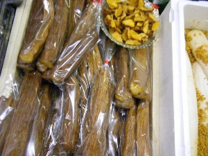 2008/12/06 �{���̔����ł�_5