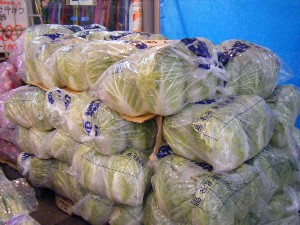 2008/12/06 �{���̔����ł�_6