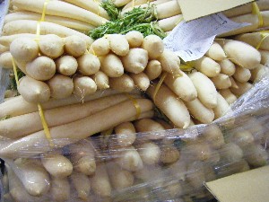 2008/12/06 �{���̔����ł�_13