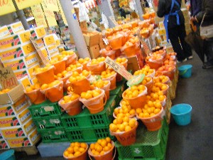 2008/12/06 �{���̔����ł�_18