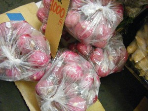 2008/12/06 �{���̔����ł�_19