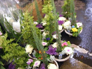 2008/12/06 �{���̔����ł�_22