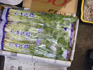 2008/12/06 �{���̔����ł�_24
