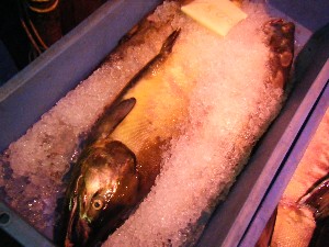 2008/12/06 �{���̔����ł�_26
