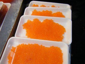 2008/12/06 �{���̔����ł�_27