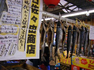 2008/12/06 �{���̔����ł�_42