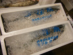 2008/12/06 �{���̔����ł�_45