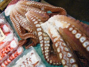 2008/12/06 �{���̔����ł�_47