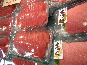 2008/12/06 �{���̔����ł�_48