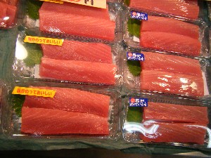 2008/12/06 �{���̔����ł�_49