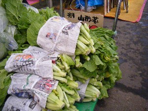 2008/12/06 �{���̔����ł�_51