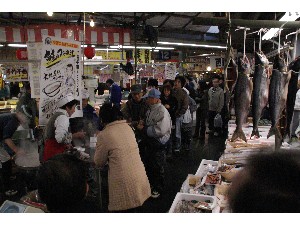 2008/12/07 ���̂݂�`���� _22