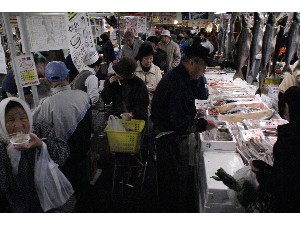 2008/12/07 ���̂݂�`���� _23