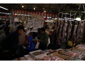 2008/12/07 ���̂݂�`���� _26