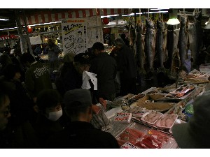 2008/12/07 ���̂݂�`���� _39