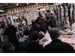 2008/12/07 ���̂݂�`���� _40