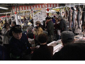 2008/12/07 ���̂݂�`���� _41