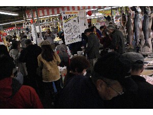 2008/12/07 ���̂݂�`���� _42