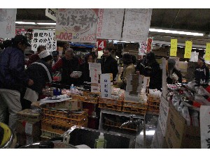 2008/12/07 ���̂݂�`���� _43