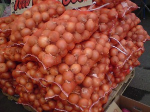 20081206-�V���؂蔲��-_6