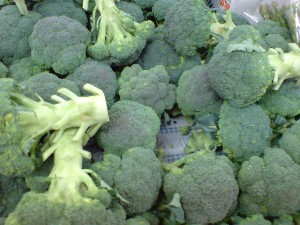 20081206-�V���؂蔲��-_11