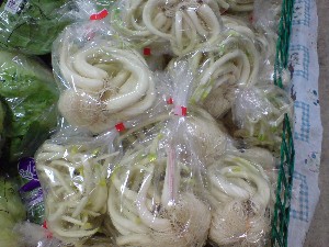 20081206-�V���؂蔲��-_12