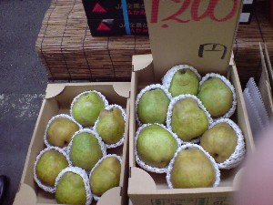 20081206-�V���؂蔲��-_18