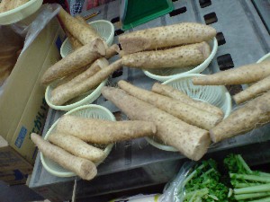 20081206-�V���؂蔲��-_20