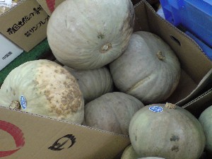 20081206-�V���؂蔲��-_22