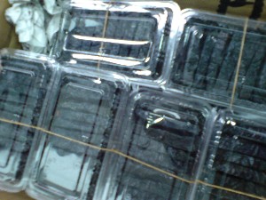 20081206-�V���؂蔲��-_24