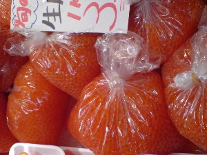 20081206-�V���؂蔲��-_30