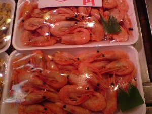 20081206-�V���؂蔲��-_31