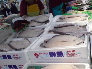 20081206-�V���؂蔲��-_38