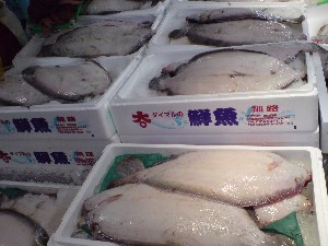 20081206-�V���؂蔲��-_39
