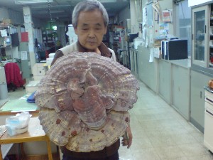 20081206-�V���؂蔲��-_44