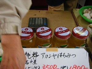 20081220-���T�̔����ł�-_7