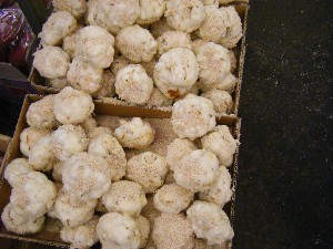 20081220-���T�̔����ł�-_19