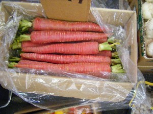 20081220-���T�̔����ł�-_20