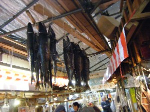 20081220-���T�̔����ł�-_22