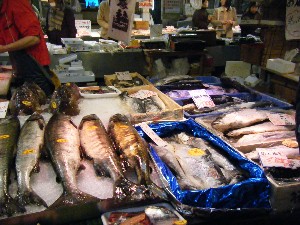 20081220-���T�̔����ł�-_23