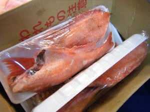 20081220-���T�̔����ł�-_26