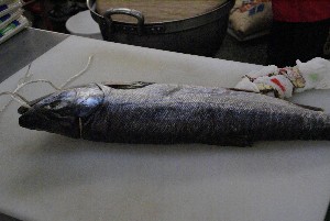 20081221-�V�������̉�����������-_1