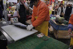 20081221-�V�������̉�����������-_5