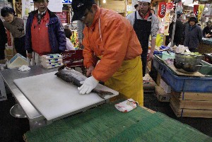 20081221-�V�������̉�����������-_8