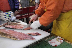 20081221-�V�������̉�����������-_13