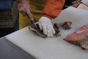 20081221-�V�������̉�����������-_20